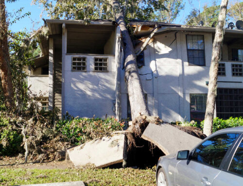 Storm/Hurricane Damage