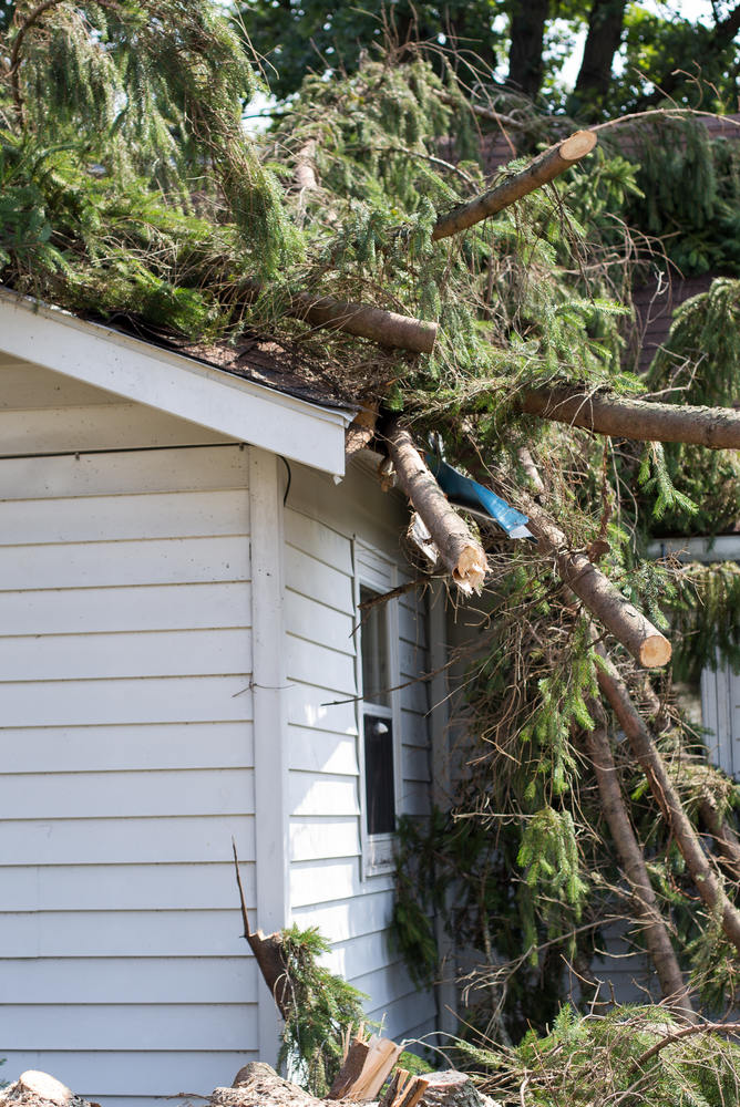 storm damage