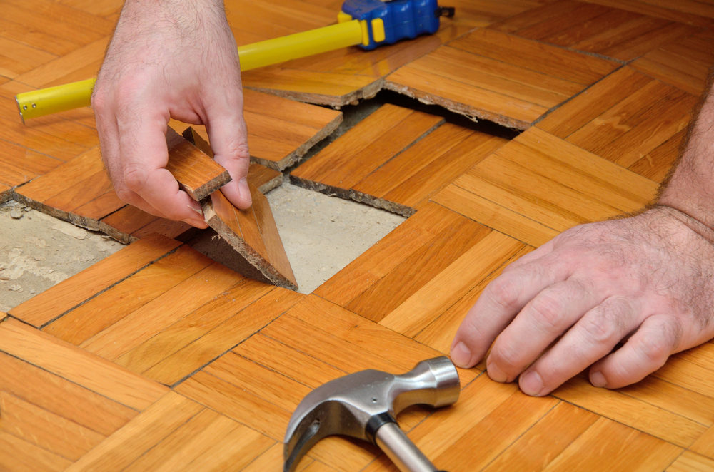 The Difference Between Property Damage and Normal Wear and Tear in Your Home