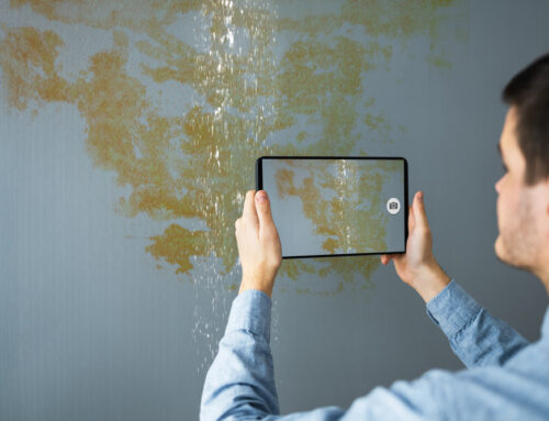 What Are the Steps to Take After Water Damage in Your Home?