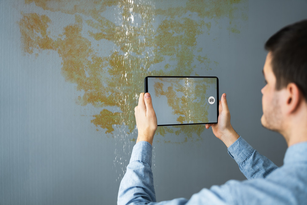 What Are the Steps to Take After Water Damage in Your Home?